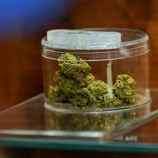weed in Ostrołęka