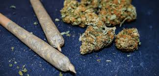 weed in Blanes