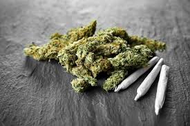 weed in Quibdó