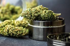 weed in Wrocław