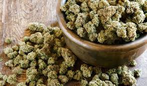 weed in Żory