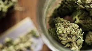 weed in Siedlce