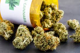 weed in Przemyśl