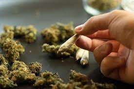 weed in Neiva