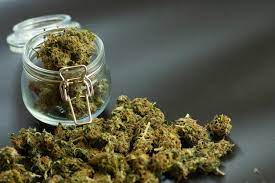 weed in La Orotava